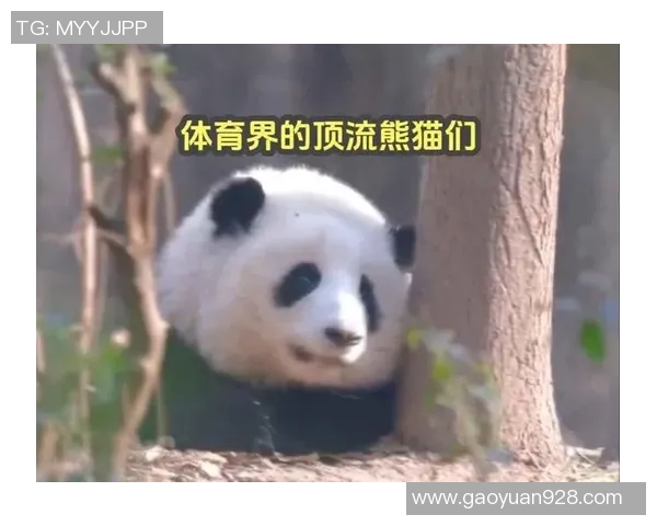 熊猫体育带你重温惊天逆转夜的精彩瞬间与不可思议的比分变化 熊猫体育带你重温惊天逆转夜的精彩瞬间与不可思议的比分变化